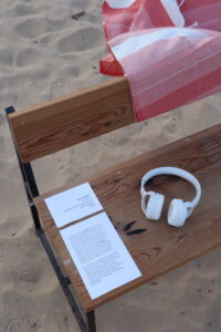 Image Courtesy of Luka Toprak