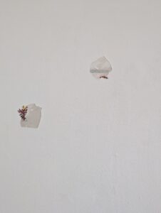 paper cutouts from free supermarket brochures, glue, paper, ink, steel nails; dimensions variable, © https://harpers.garden