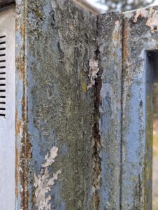 © https://harpers.garden