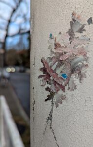 paper cutouts from free supermarket brochures, glue, paper, ink, steel nails; dimensions variable, © https://harpers.garden