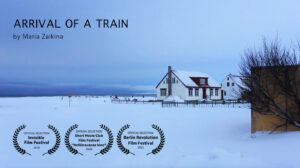 Image Courtesy of Maria Zaikina