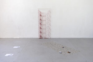 <em>sunflower seed husks</em> (2024), image courtesy of Nilam Ali