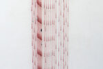 <em>sunflower seed husks</em> (2024), image courtesy of Nilam Ali