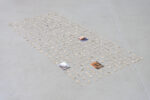 <em>sunflower seed husks</em> (2024), image courtesy of Nilam Ali