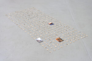 <em>sunflower seed husks</em> (2024), image courtesy of Nilam Ali