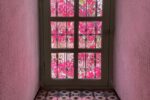 Window View